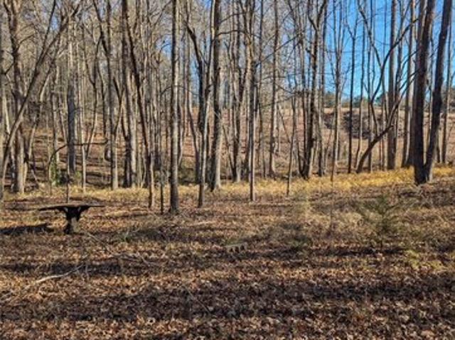 Land for sale in Central, South Carolina
