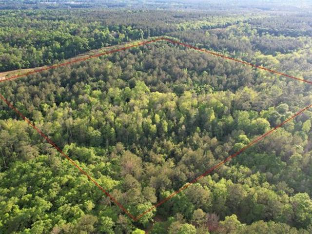 Land for sale in Century, Florida