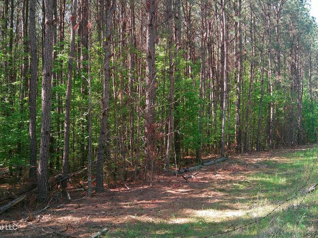 Land for sale in Amory, Mississippi