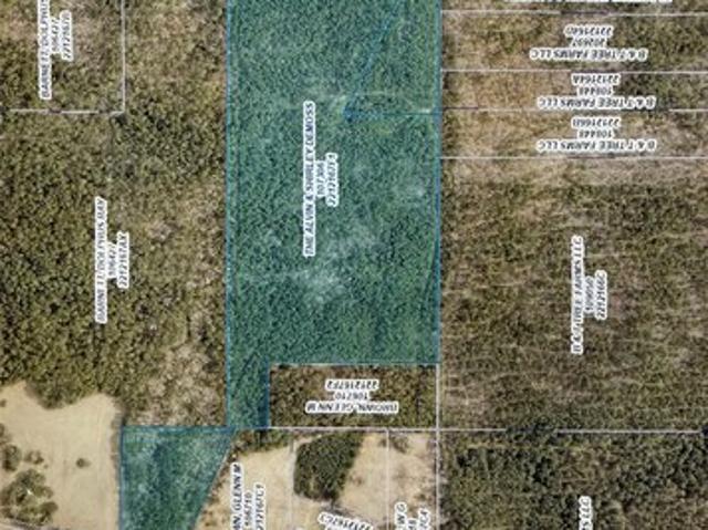 Land for sale in Plain Dealing, Louisiana