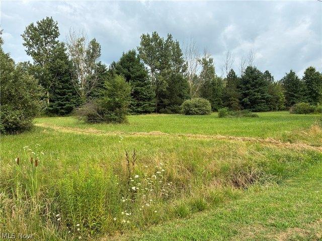 Land for sale in Marshallville, Ohio