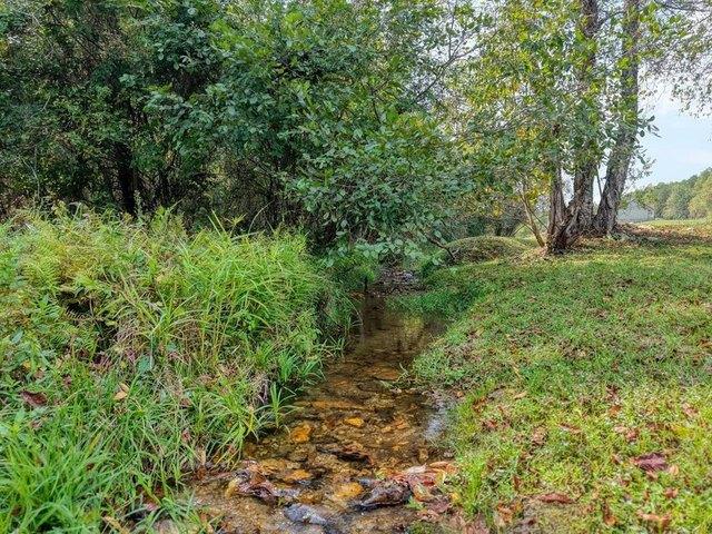 Land for sale in Blairsville, Georgia