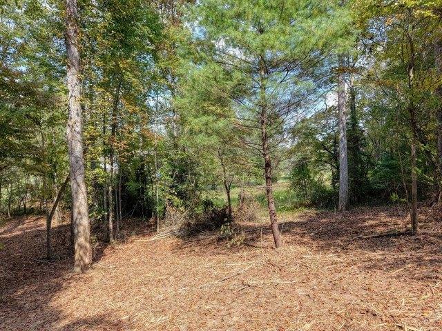 Land for sale in Blairsville, Georgia