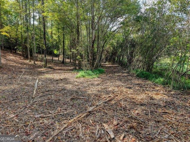Land for sale in Blairsville, Georgia