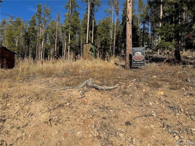 Land for sale in Conifer, Colorado