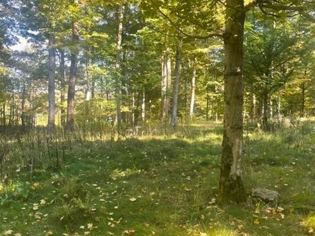 Land for sale in West Eaton, Town of Eaton