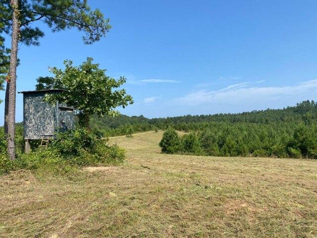 Land for sale in Fayette