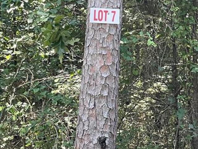 Land for sale in Greers Ferry, Cleburne County