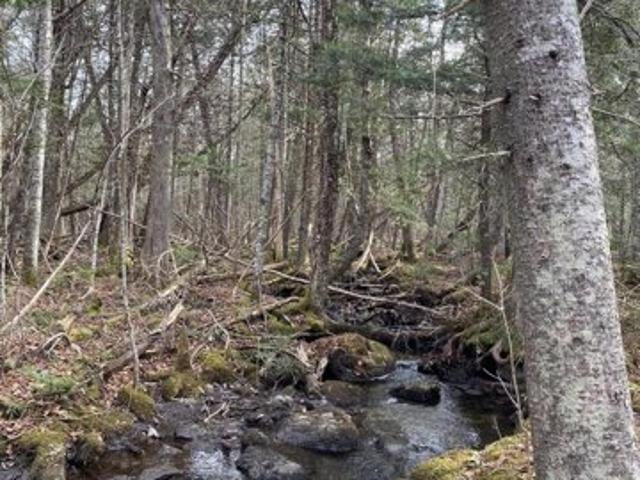 Land for sale in Dexter, Maine