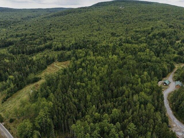 Land for sale in Island Pond, Vermont