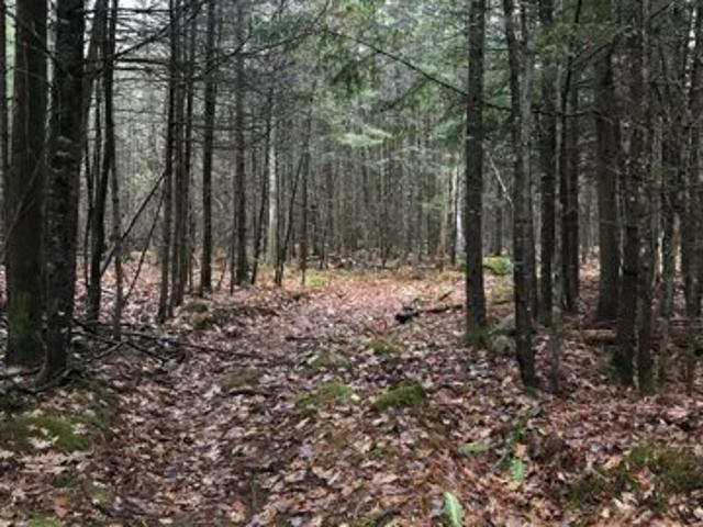 Land for sale in Norway Land for sale in Norway