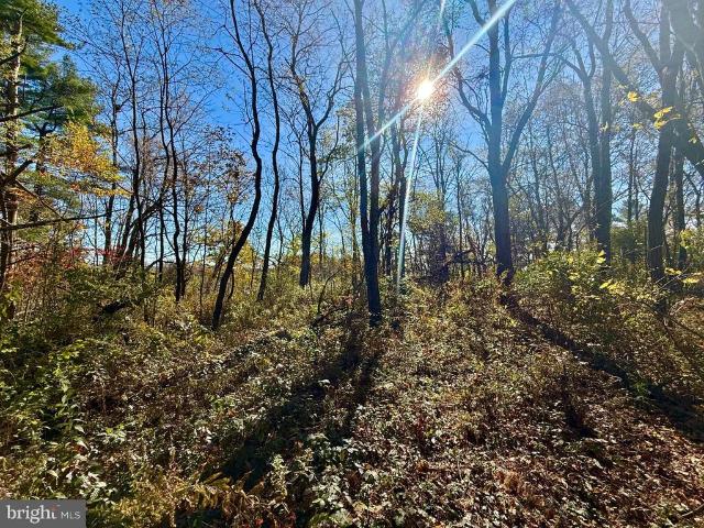 Land for sale in West Virginia