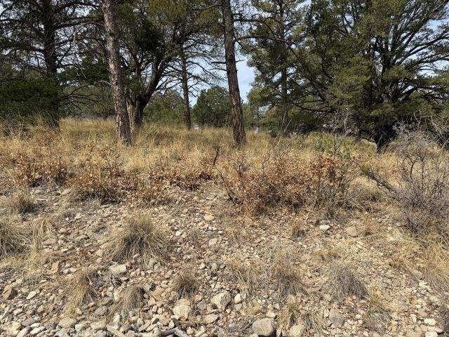 Land for sale in Timberon, New Mexico