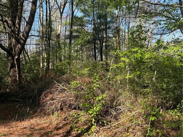 Land for sale in Groton, New York