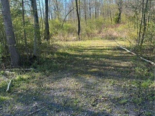Land for sale in Groton, New York
