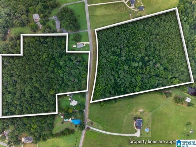 Land for sale in Jacksonville, Calhoun County