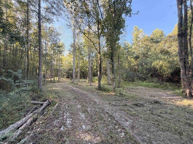 Land for sale in Nichols, Marion County