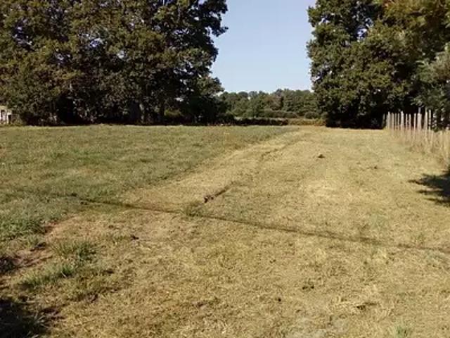 Terrain vente à Plessé, Loire-Atlantique
