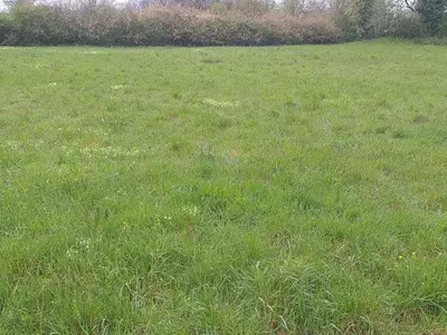 Terrain vente à Châtellerault, Pleumartin