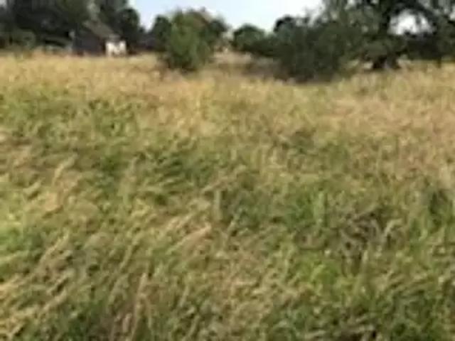 Terrain vente à Châtellerault, Pleumartin