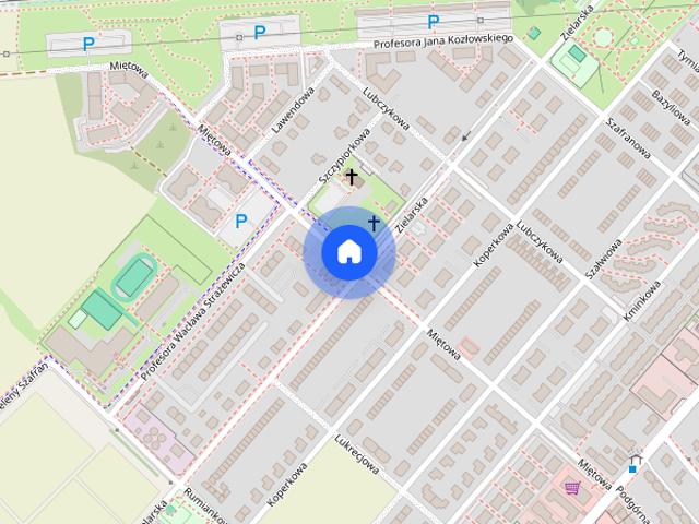 Mieszkanie do wynajęcia w Plewiska, Wielkopolskie