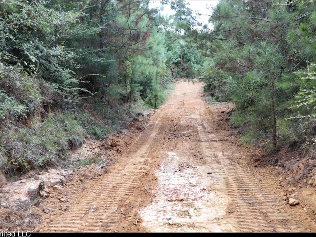 Land for sale in East Lincoln, Brookhaven