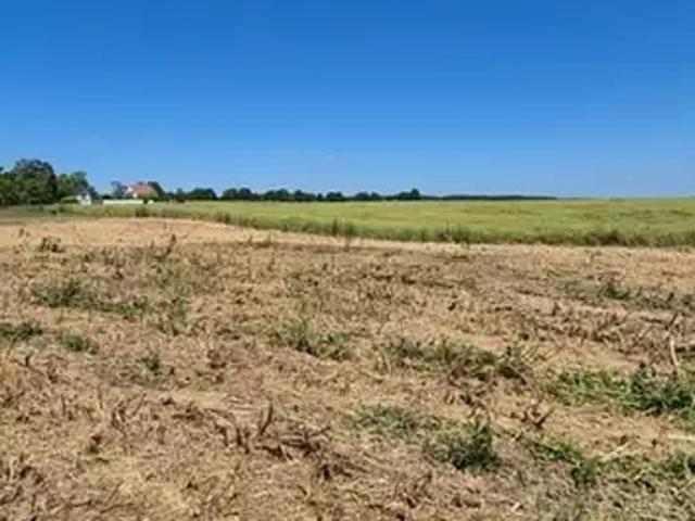Terrain vente à Épernay, Plivot