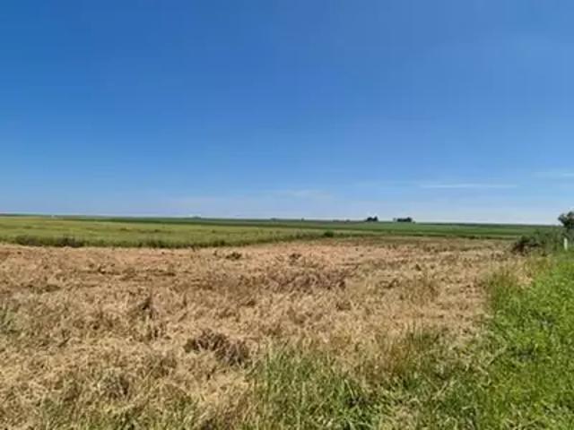 Terrain vente à Épernay, Plivot