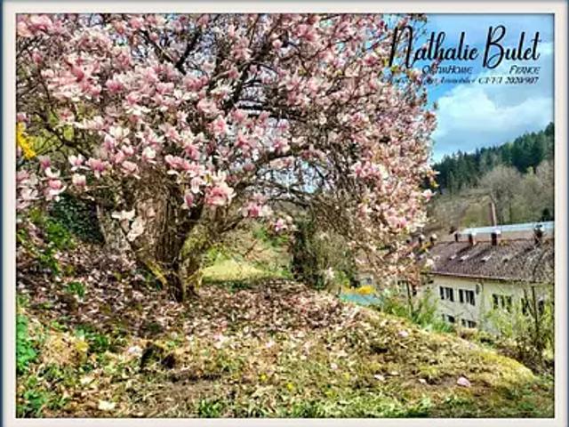 Appartement vente à Épinal, Plombières-les-bains