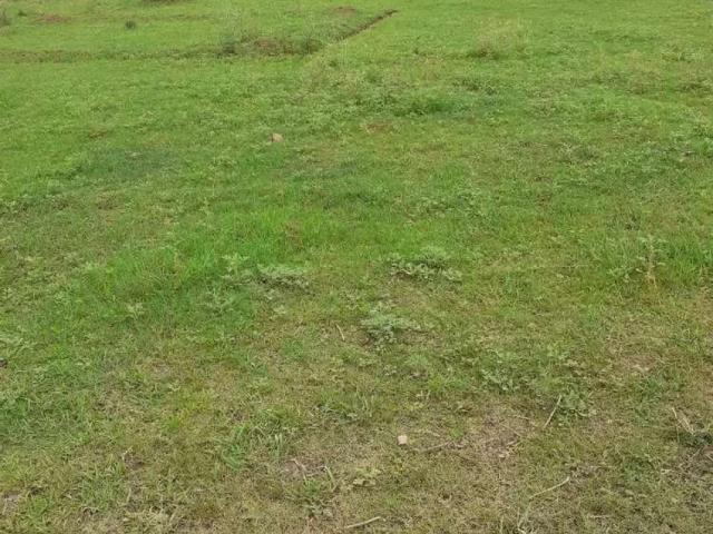 Land for sale in Islamabad