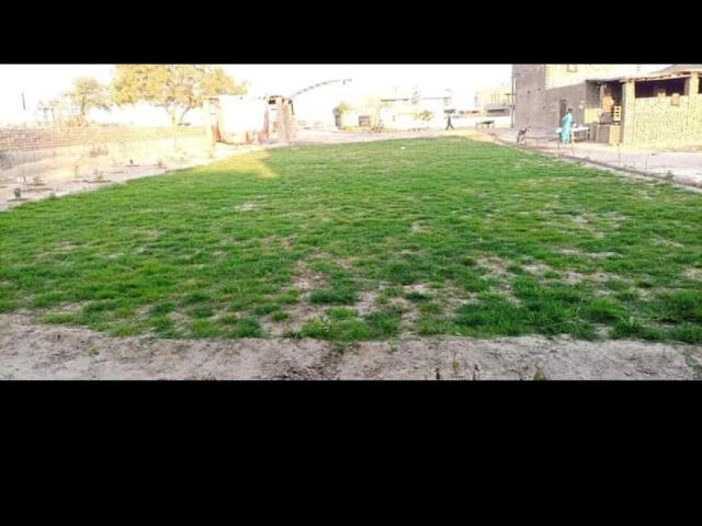 Commercial for rent in Multan, Islamabad Capital Territory
