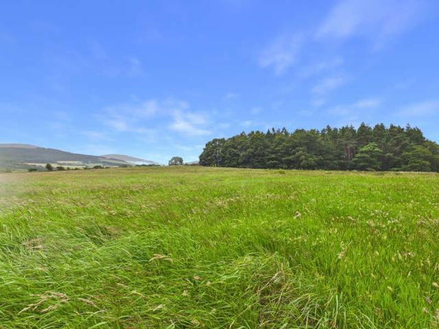 Land for sale in Aberlour, Scotland