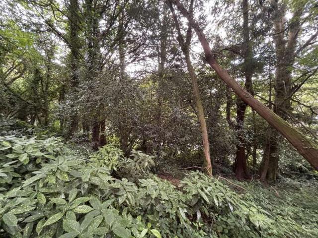 Land for sale in Perranarworthal