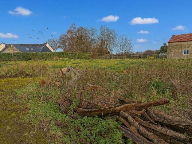Land for sale in Ashcott