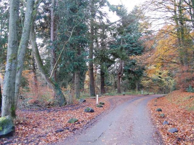 Land for sale in Ayr