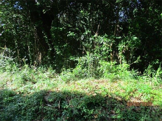 House for rent in Thomasville