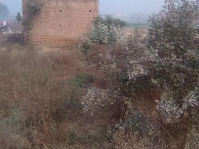 Land for sale in Sheikhupura, Islamabad Capital Territory