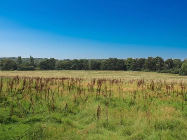 Land for sale in Westborough, Surrey