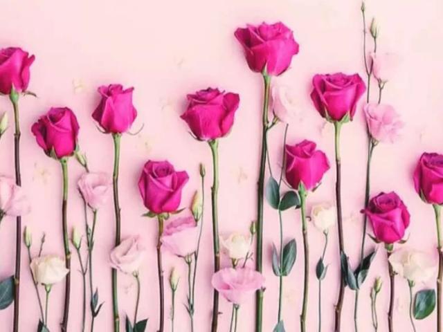 Land for sale in Burewala, Islamabad Capital Territory