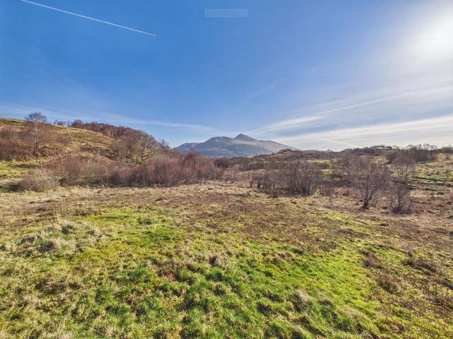 Land for sale in Taynuilt, Scotland
