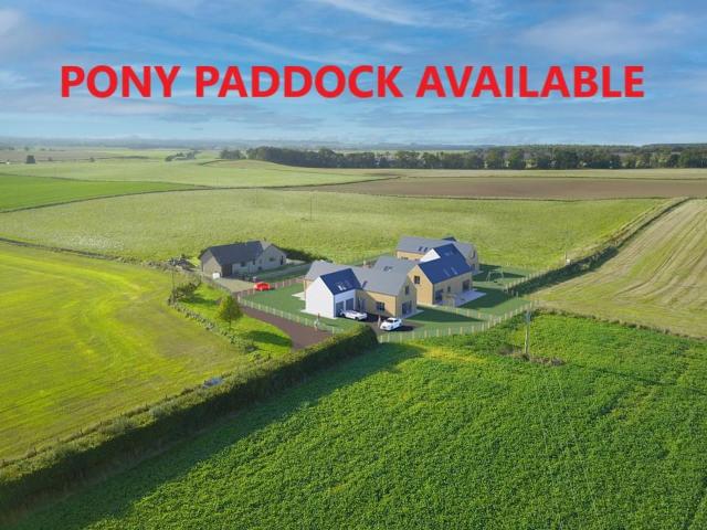 Land for sale in Edzell