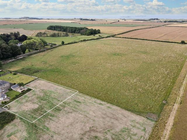 Land for sale in Beadnell, Northumberland