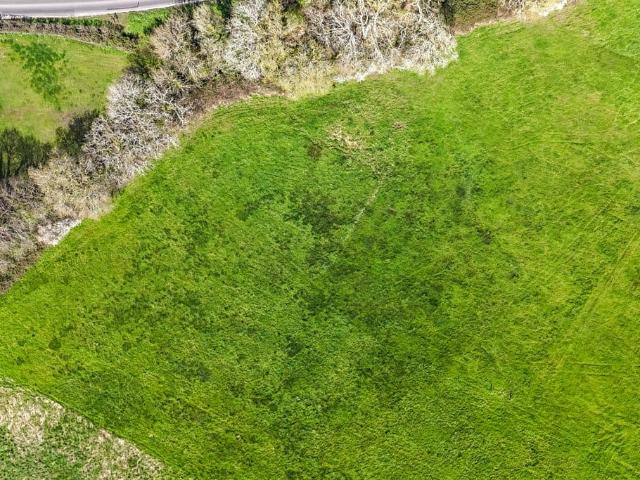 Land for sale in Ashurst Bridge, Hampshire