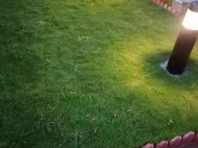 Land for sale in Islamabad