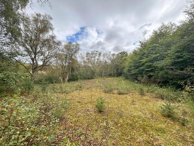 Land for sale in Scotland