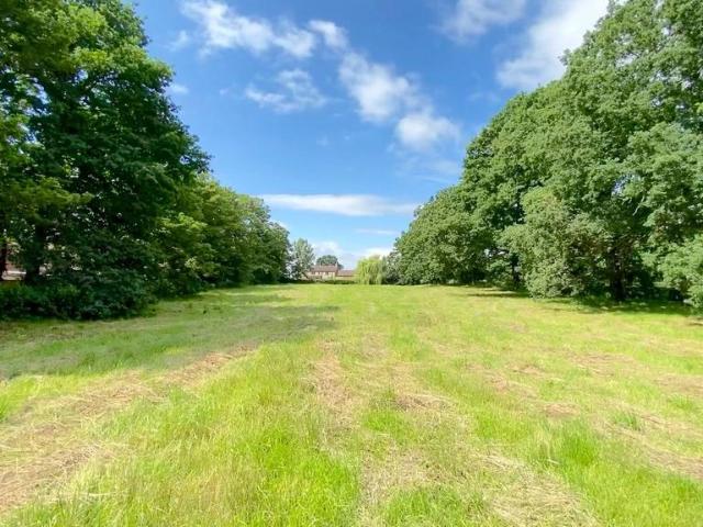 Land for sale in South Otterington