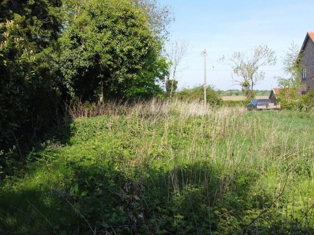 Land for sale in Bedingfield, Suffolk