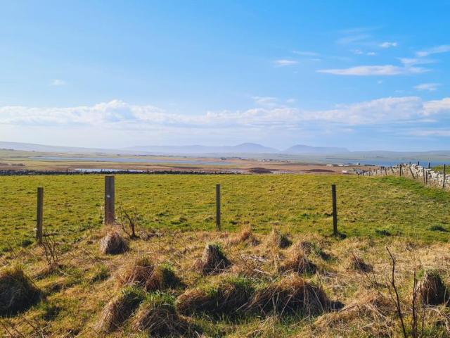 Land for sale in Dounby, Scotland