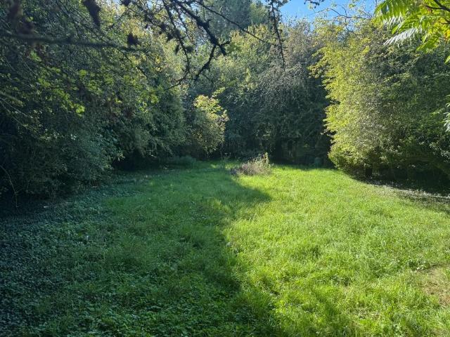 Land for sale in Monkwood, East Hampshire