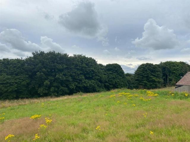 Land for sale in Scotland